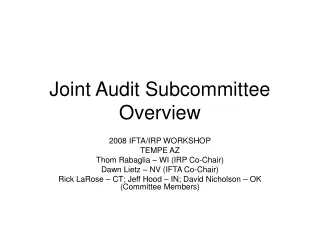 Joint Audit Subcommittee Overview