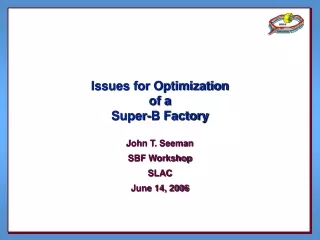 Issues for Optimization   of a  Super-B Factory
