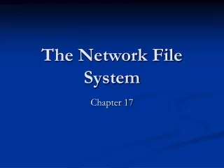 The Network File System