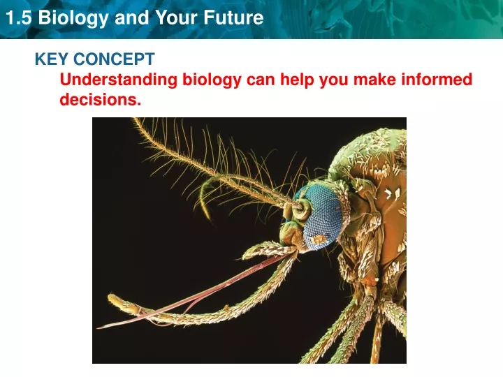 key concept understanding biology can help