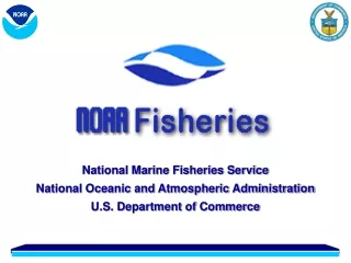 National Marine Fisheries Service National Oceanic and Atmospheric Administration