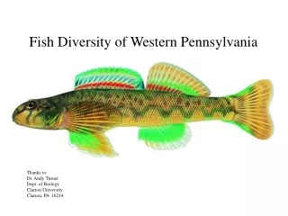 Fish Diversity of Western Pennsylvania