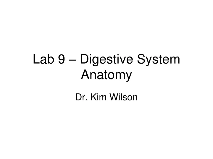 lab 9 digestive system anatomy