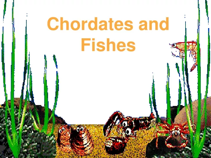 chordates and fishes