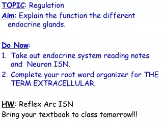 TOPIC : Regulation Aim : Explain the function the different endocrine glands. Do Now :