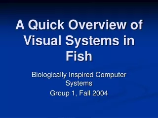 A Quick Overview of Visual Systems in Fish