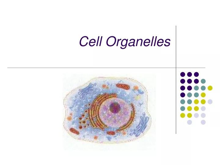 cell organelles