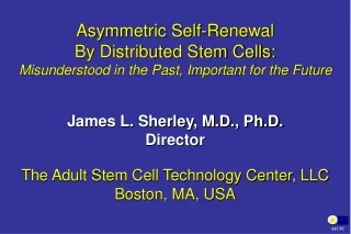 Asymmetric Self-Renewal By Distributed Stem Cells: