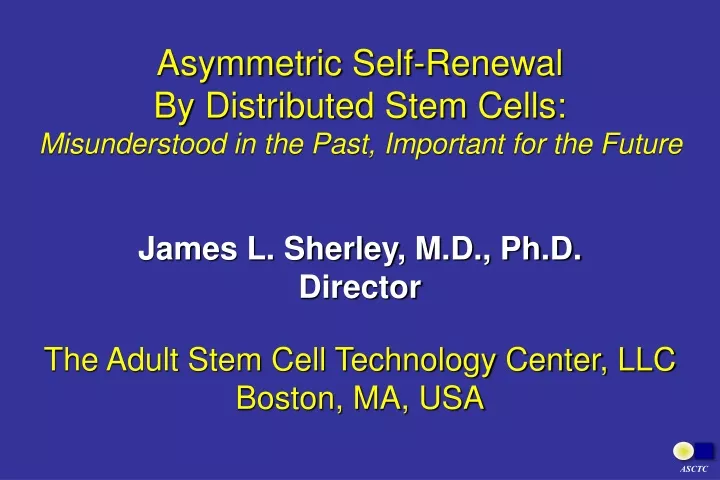 asymmetric self renewal by distributed stem cells