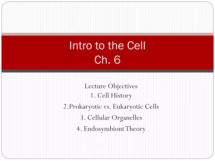 intro to the cell ch 6