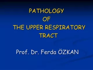 PATHOLOGY OF     THE UPPER RESPIRATORY   TRACT  Prof. Dr. Ferda ÖZKAN