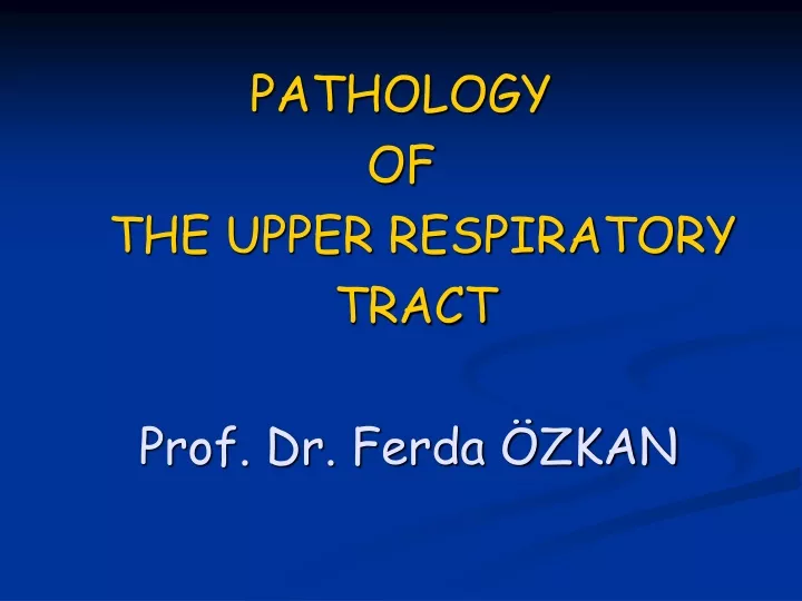 pathology of the upper respiratory tract prof