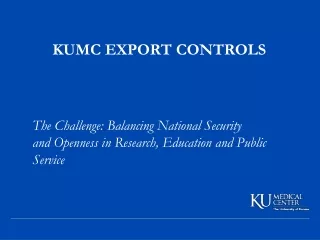 What Are Export Controls?