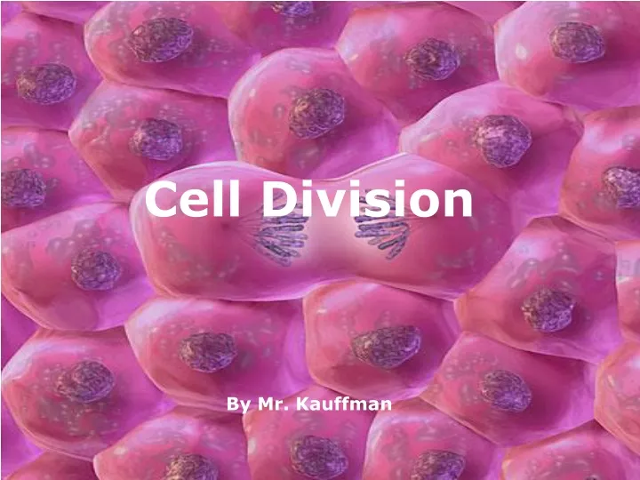 cell division