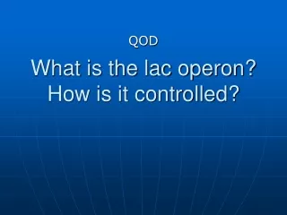 What is the lac operon?  How is it controlled?