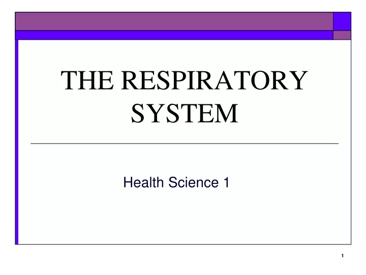 the respiratory system