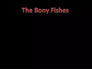 The Bony Fishes