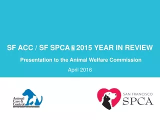 SF ACC / SF SPCA  ? 2015 YEAR IN REVIEW Presentation to the Animal Welfare Commission April 2016