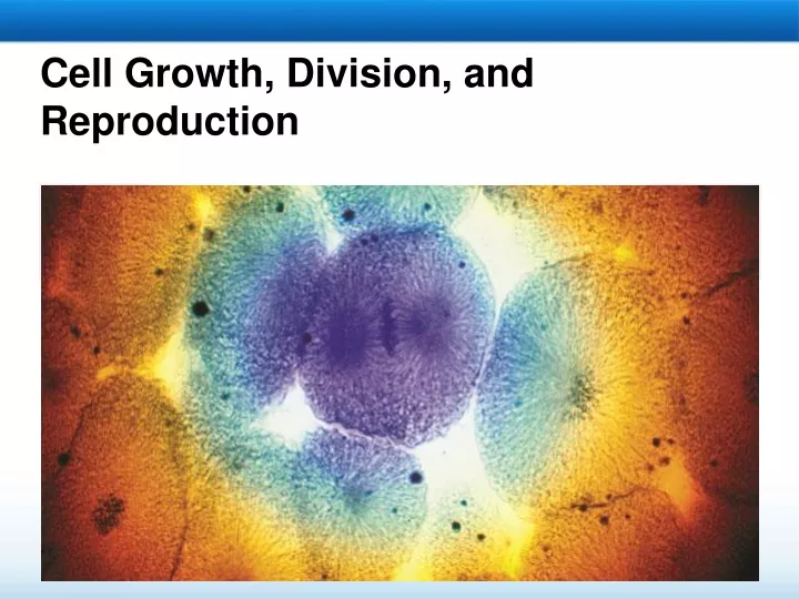 cell growth division and reproduction