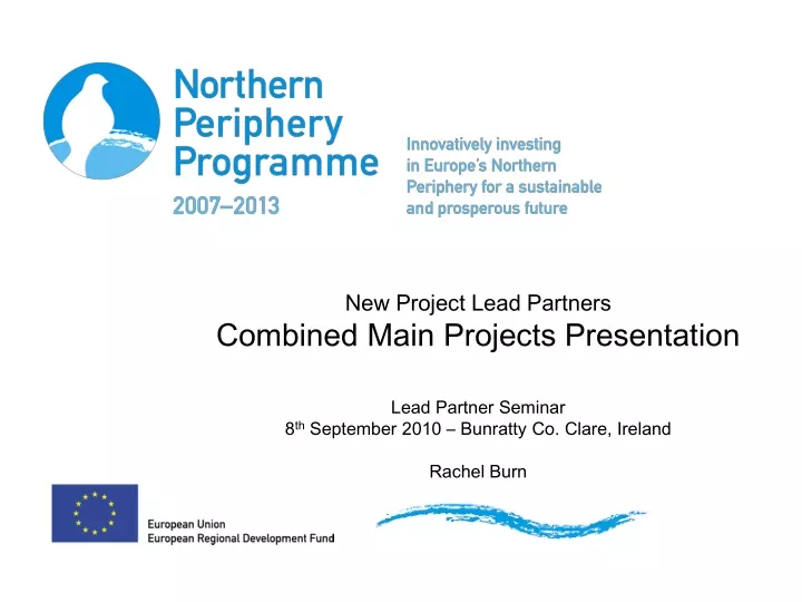 new project lead partners combined main projects