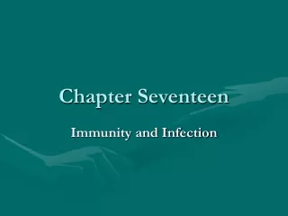 Chapter Seventeen