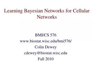 Learning Bayesian Networks for Cellular Networks