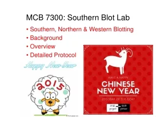 MCB 7300: Southern Blot Lab
