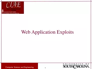 Web Application Exploits