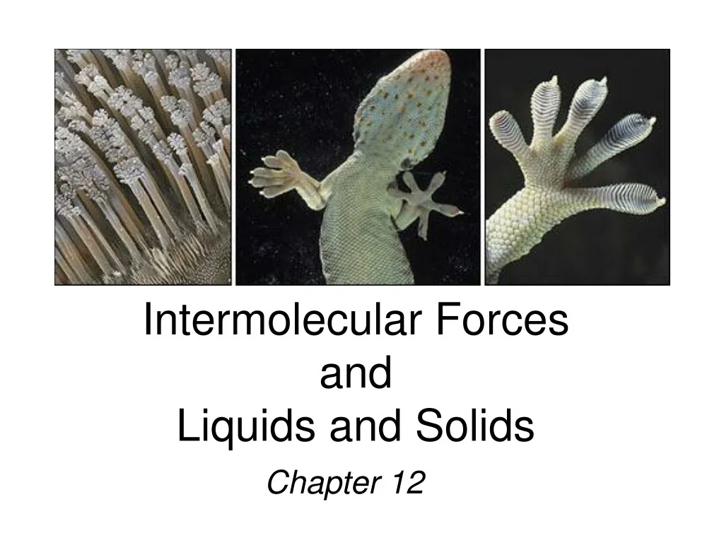 PPT - Intermolecular Forces and Liquids and Solids PowerPoint ...