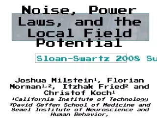 Noise, Power Laws, and the Local Field Potential