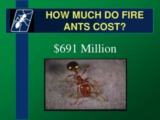 HOW MUCH DO FIRE ANTS COST?