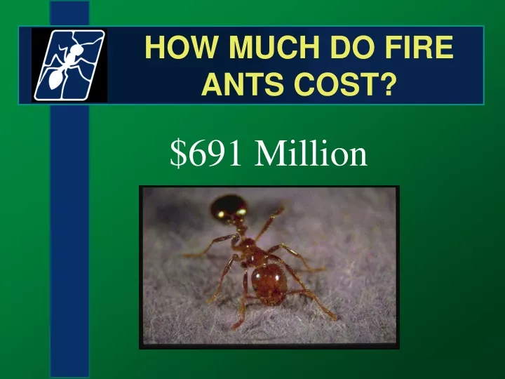 how much do fire ants cost