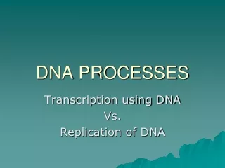 DNA PROCESSES