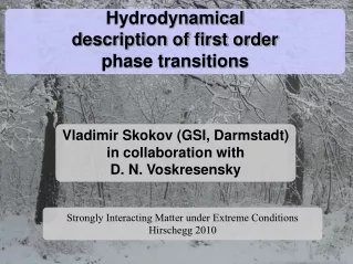 Hydrodynamical  description of first order phase transitions