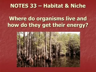 NOTES 33 – Habitat &amp; Niche Where do organisms live and how do they get their energy?