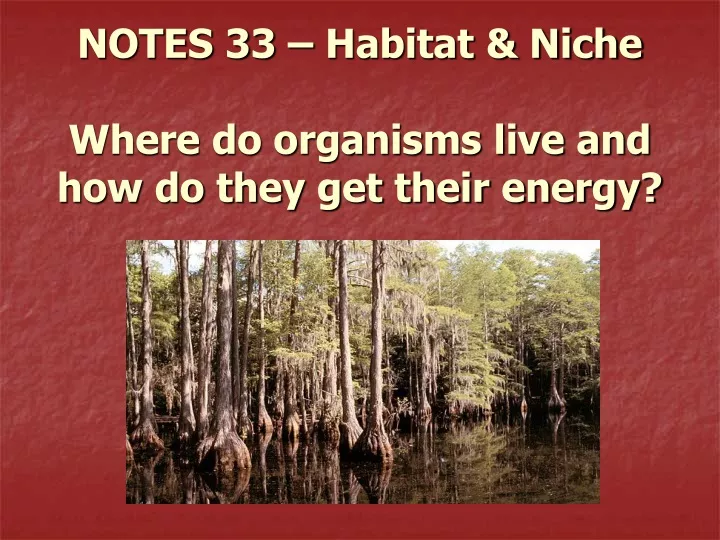 notes 33 habitat niche where do organisms live and how do they get their energy