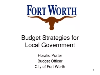 Budget Strategies for Local Government