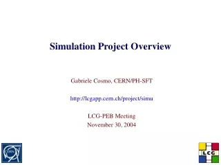 Simulation Project Overview