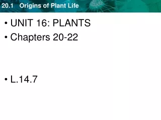 UNIT 16: PLANTS Chapters 20-22 L.14.7