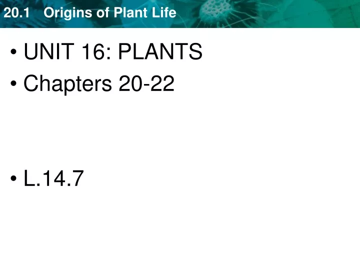 unit 16 plants chapters 20 22 l 14 7