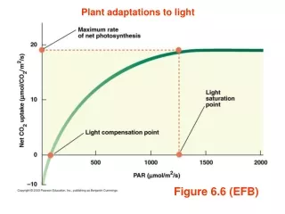 Figure 6.6 (EFB)