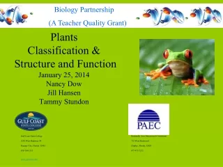 Plants  Classification &amp;  Structure and Function January 25, 2014 Nancy Dow Jill Hansen