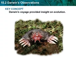 KEY CONCEPT  Darwin’s voyage provided insight on evolution.