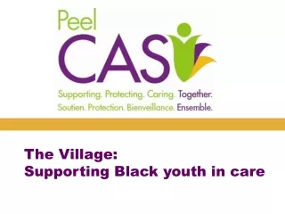 The Village:  Supporting Black youth in care
