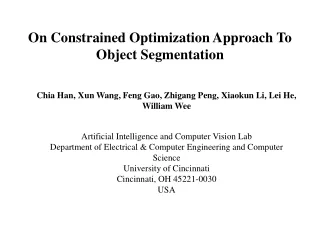 On Constrained Optimization Approach To Object Segmentation