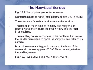 The Nonvisual Senses