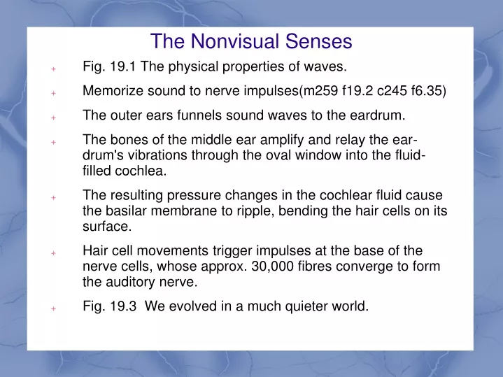 the nonvisual senses