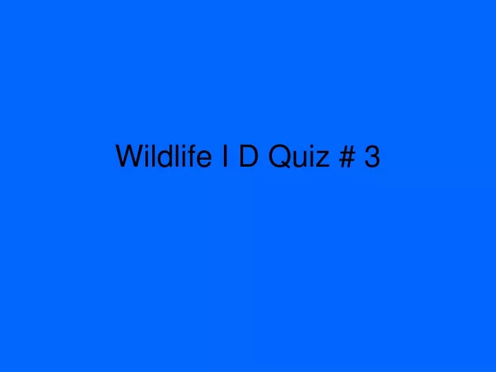 wildlife i d quiz 3