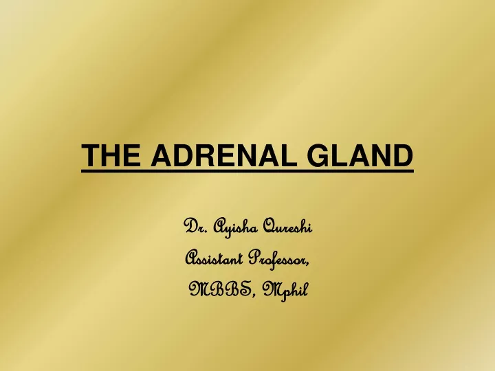 the adrenal gland