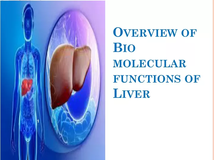overview of bio molecular functions of liver